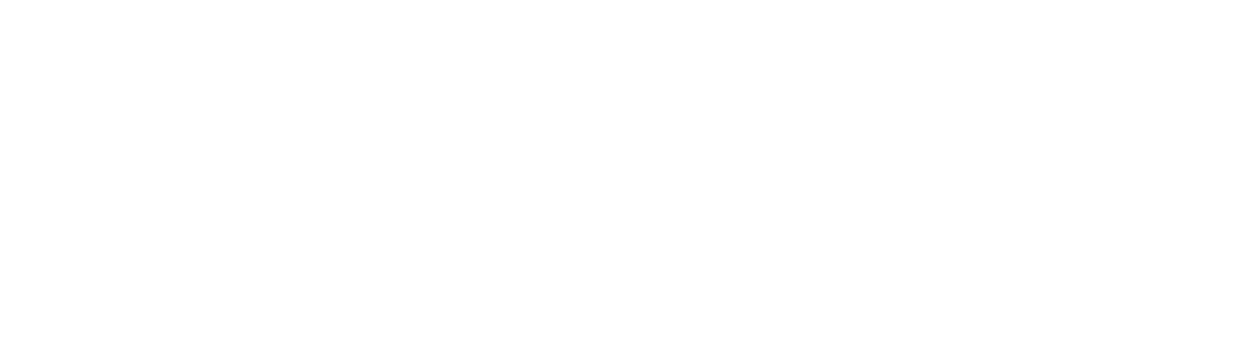 Stephen Smith Financial_Logo_Horizontal White